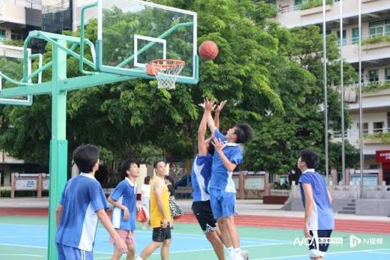 球探官网账户安全防护指南：日常习惯养成与风险识别